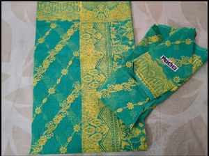 Organza Saree