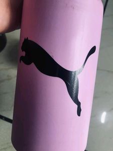 Price Drop!!!Pink Puma Water Sipper