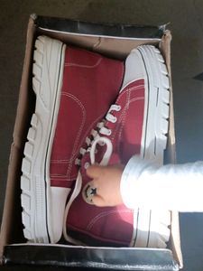 Men Shoe