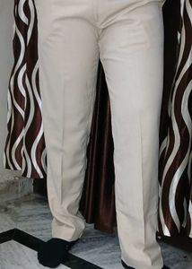 Brand New Raymond's Formal Pant