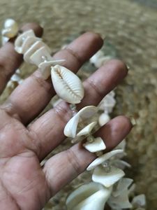 Seashell Statement Necklace
