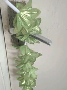 Toran Combo Home Decor