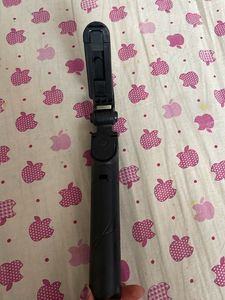 Selfie Stick