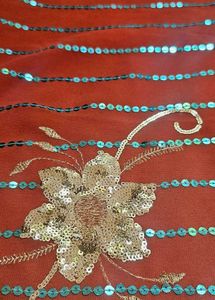 Elegant Embellished Saree
