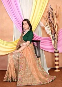 Fancy Net Saree