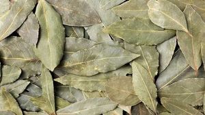 Herbal Dry Sandalwood(Chandan) Leaves 100gm