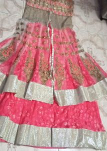 Elegant Indian Dress