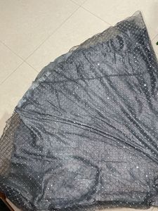 Elegant Grey Embellished Gown and chunri