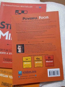 Strategic Mindset by Thibaut Meurisse