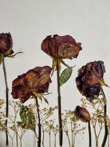 3D Real Rose Art on Canvas Board