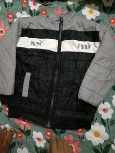 Puma Colorblock Padded Jacket