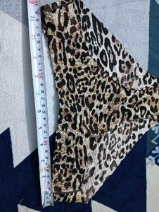 Animal Print Briefs🖤