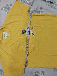 Hollister Graphic Tee