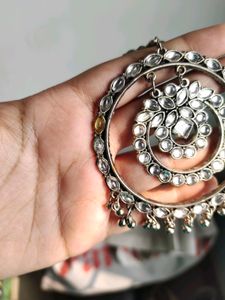 Elegant Earrings ✨