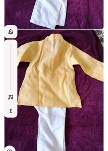 Chikankari Kurta Set ( Brand New)
