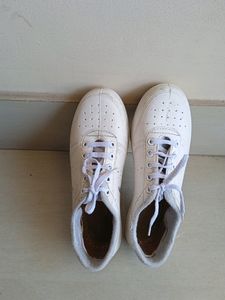 Avalon School Shoes