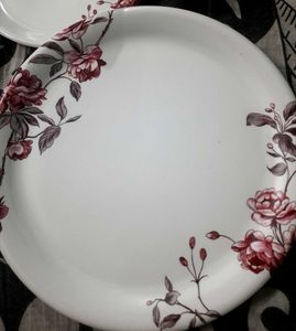 Dinner Set 20 Pc Stylon Brand