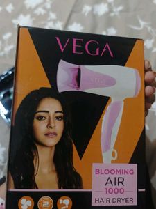 Vega Hair Dryer