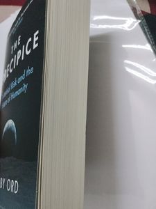 Book- The Precipice