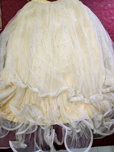 Elegant Ethnic Gown