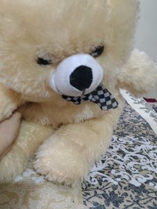 Cute Cream Teddy Bear