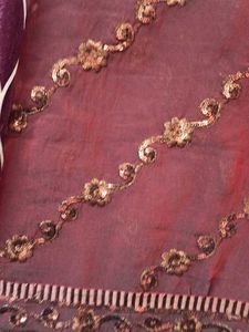 Elegant Brown &amp; Gold Sari