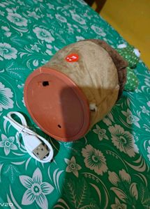 Dancing Cactus Toy
