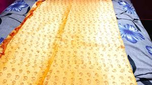 Pure Silk Saree 2