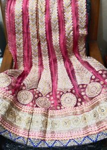 Gorgeous Lehenga Choli Set