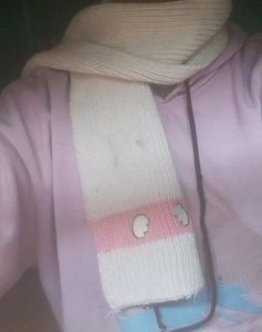 Wool Muffler/Scarf