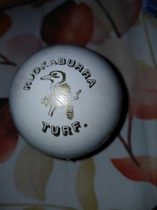 Kookaburra Turf Cricket Ball