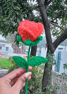 Crocheted Rose 🌹
