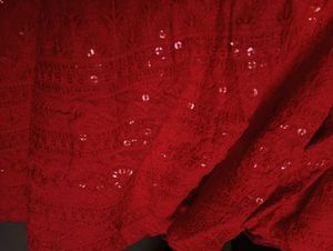 Red Embroidered Lehenga Choli