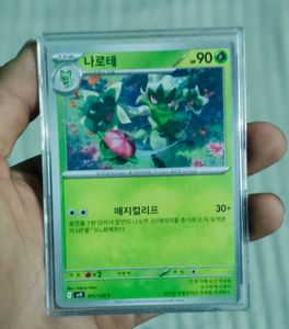 Korean Pokemon Card