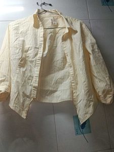 Striped Button-Down Shirt