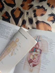 Medical Dictionary📖