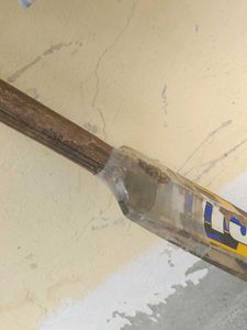 Cricket Bat