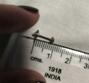 Pure Silver 925 SS Nosepins