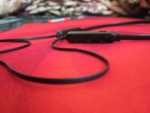 Nesty Wireless Neckband With Mic