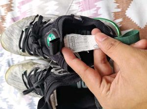 Adult Basketball Shoes Boston Celetics