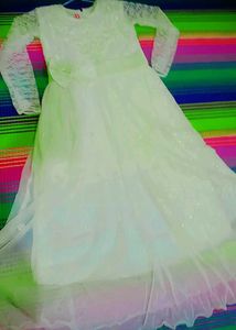 Elegant Ethnic Dress