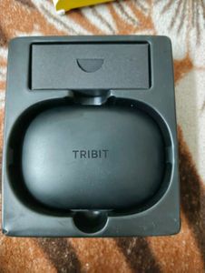 Wireless Earbuds