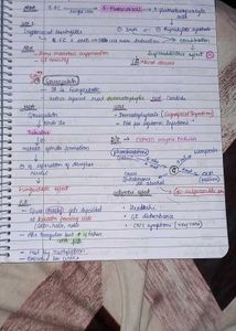 2nd Year Whole Antimicrobial Notes Pharmacology