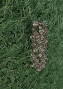 Vintage Rhinestone Brooch