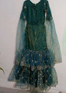 Gorgeous Gown ✨