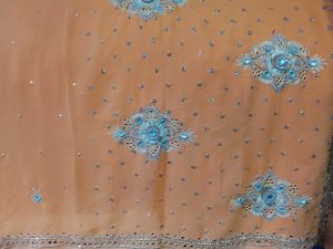 Elegant Embellished Saree
