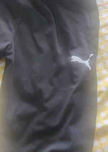 Puma Track Jacket and pant set