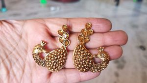 Peacock Earrings