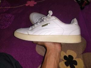 Offer Last Day &#34;1000&#34; Puma White Orignal Snekar