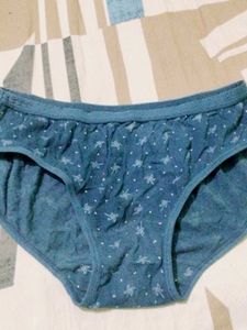 Panties Used